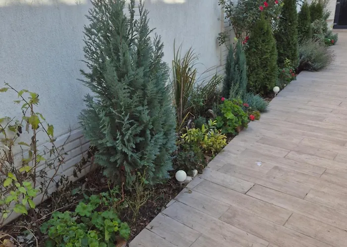 Avrig Dinu Βουκουρέστι