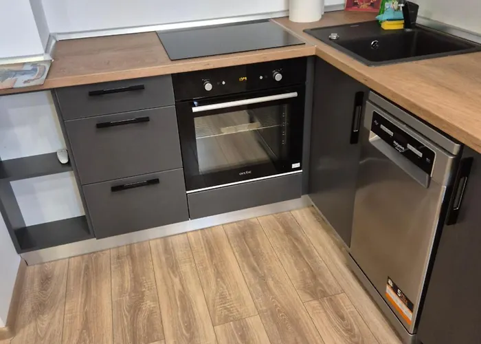 Apartment Avrig Dinu *